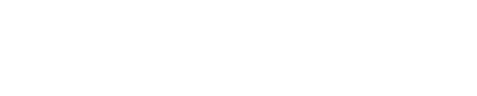 RMX STUDIO BioLink